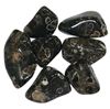 AGATE TURRITELLE