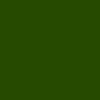 BOUGIES SPECIAL RITUEL vert sapin�