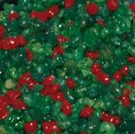 NAZARETH VERT�